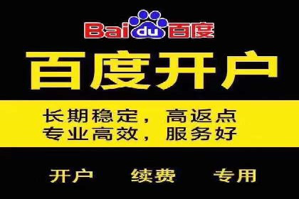 百度推广的成功案例：从零到一的突破